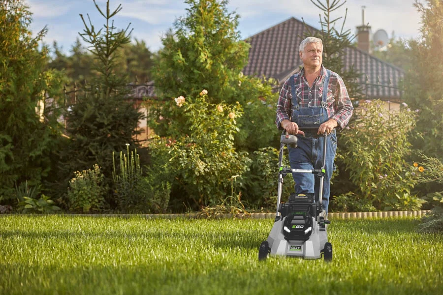 what is the best lawn mower