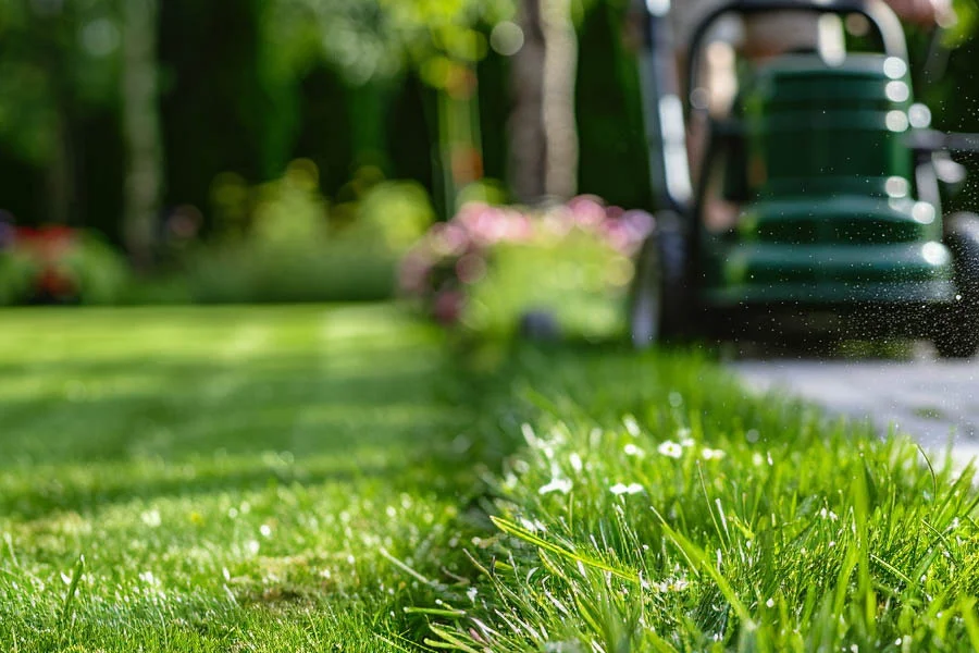 what is the best lawn mower